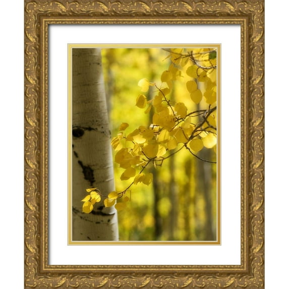 Head, Danny 25x32 Gold Ornate Wood Framed with Double Matting Museum Art Print Titled - Aspen Highlights