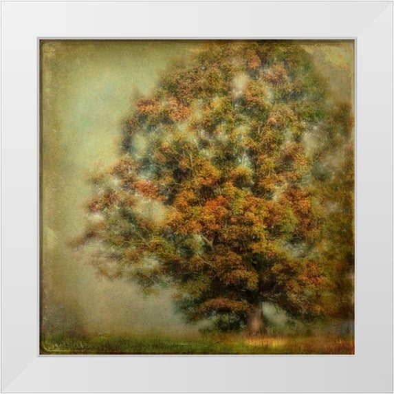 Head, Danny 26x26 White Modern Wood Framed Museum Art Print Titled - Autumns Dream