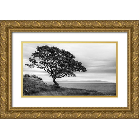 Head, Danny 32x20 Gold Ornate Wood Framed with Double Matting Museum Art Print Titled - Survivor