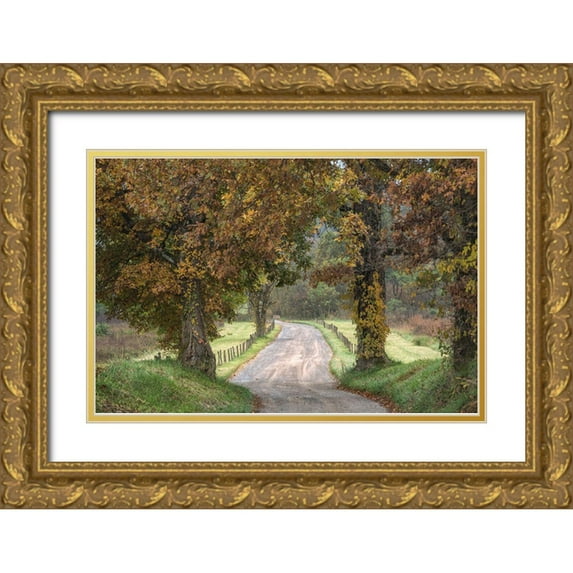 Head, Danny 32x23 Gold Ornate Wood Framed with Double Matting Museum Art Print Titled - Between the Oaks
