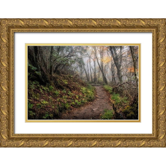 Head, Danny 32x23 Gold Ornate Wood Framed with Double Matting Museum Art Print Titled - Long Walk