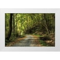 thumbnail image 1 of Head, Danny 32x23 White Modern Wood Framed Museum Art Print Titled - All Down Hill, 1 of 4