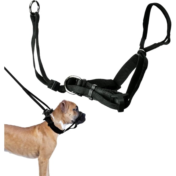 Head Dog Halter, , Lar