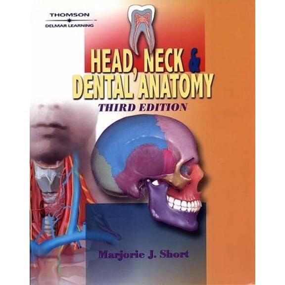 Pre-Owned Head, Neck and Dental Anatomy (Paperback) 0766818896 9780766818897