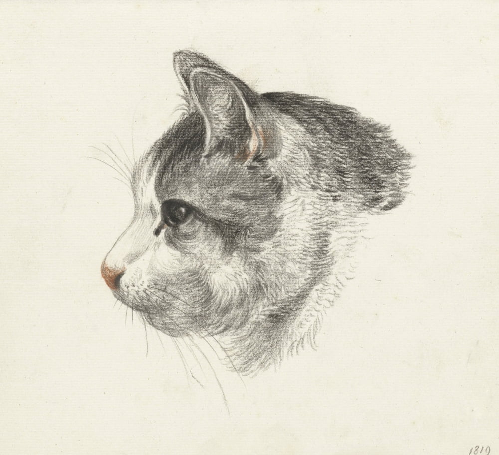 Head Of A Cat Canvas Art - (36 x 24)