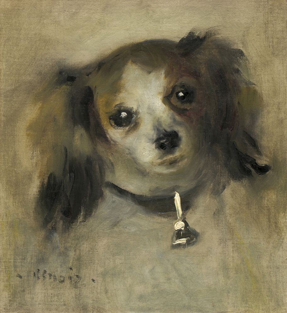 Head Of A Dog Canvas Art - (18 x 24)