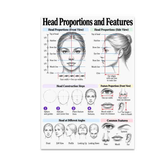 Head Proportions and Features Educational Reference - Art Students - 13x19 Poster Print