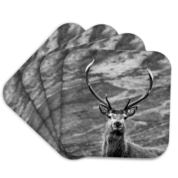 3drose, Head Shot of a Stag, Highlands of Scotland, Set of 4 Coasters - Soft