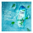 thumbnail image 1 of Head & Shoulders anti-itch mint extra refreshing shampoo 375 ml, 1 of 4