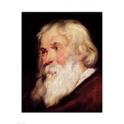 Head of An Old Man Poster Print by Peter Paul Rubens - 24 x 36 in. - Large