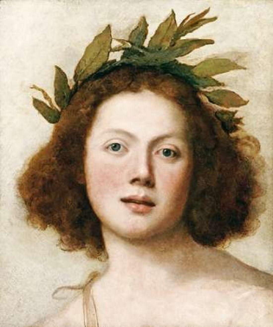 Head of Apollo Canvas Art - Girolamo Forabosco (24 x 24)
