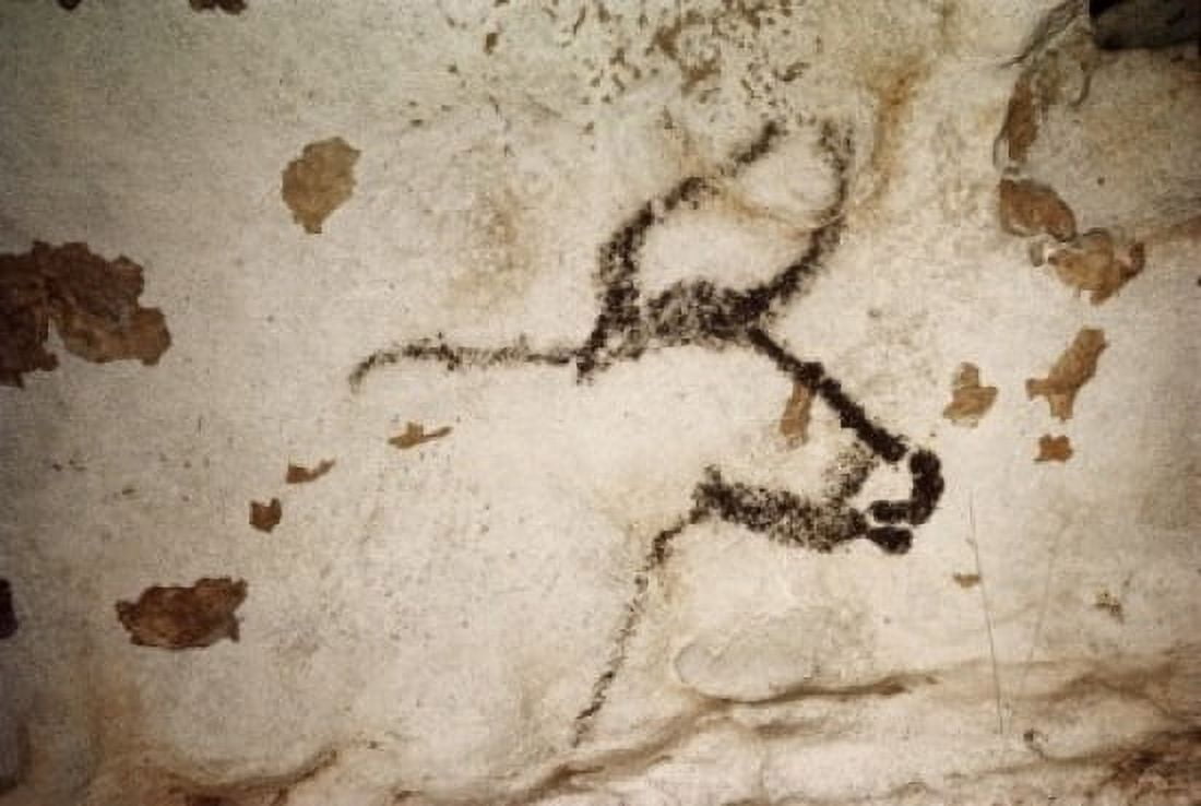Head of Large Bull Lascaux Caves France Canvas Art - (18 x 24)