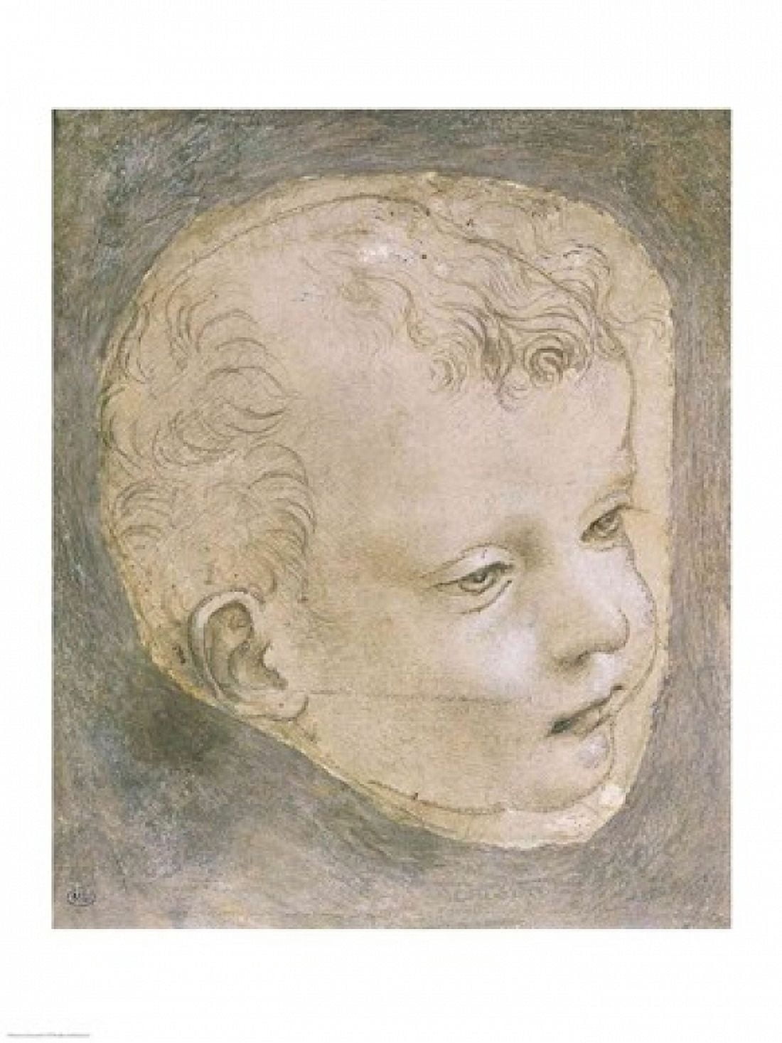 Head of a Child Canvas Art - Leonardo Da Vinci (24 x 36)