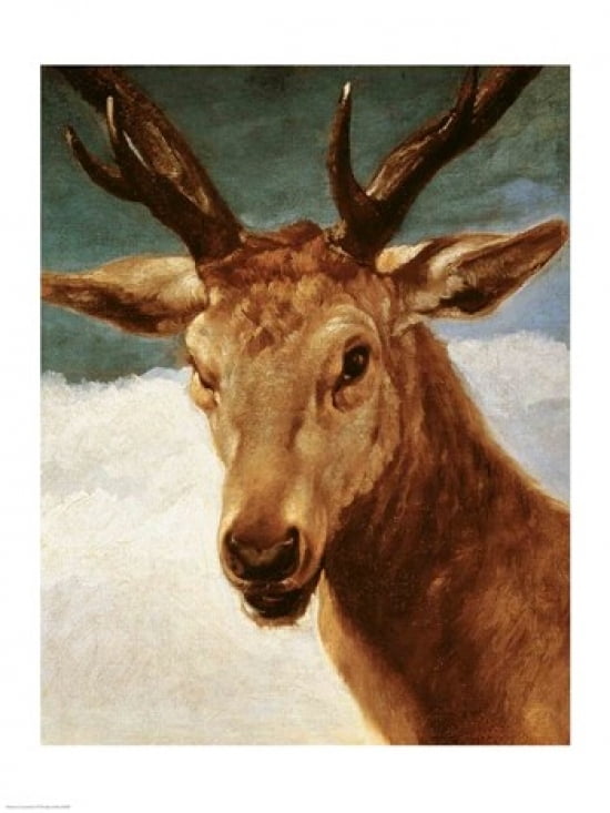 Head of a Stag 1634 Canvas Art - Diego Velazquez (24 x 36)