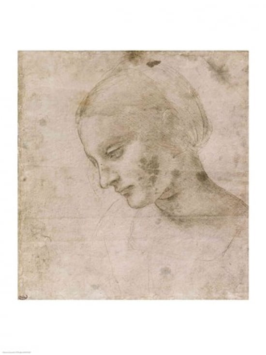 Head of a Young Woman or Head of the Virgin Canvas Art - Leonardo Da Vinci (18 x 24)