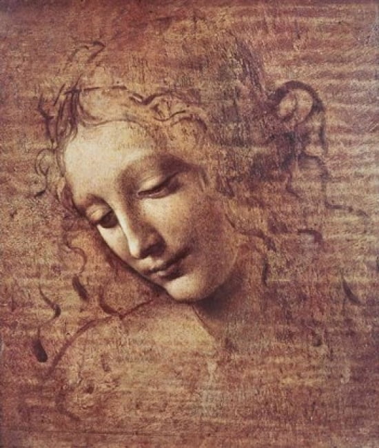 Head of a Young Woman with Tousled Hair Canvas Art - Leonardo Da Vinci (16 x 20)