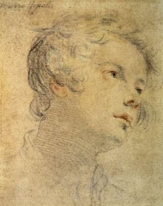 Head of a Youth Canvas Art - Matteo Rosselli (24 x 30)