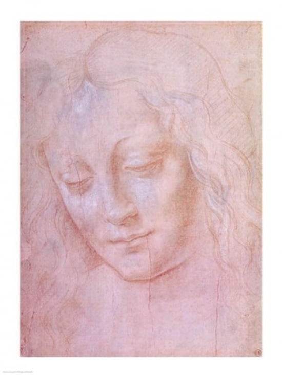 Head of a woman Canvas Art - Leonardo Da Vinci (24 x 36)