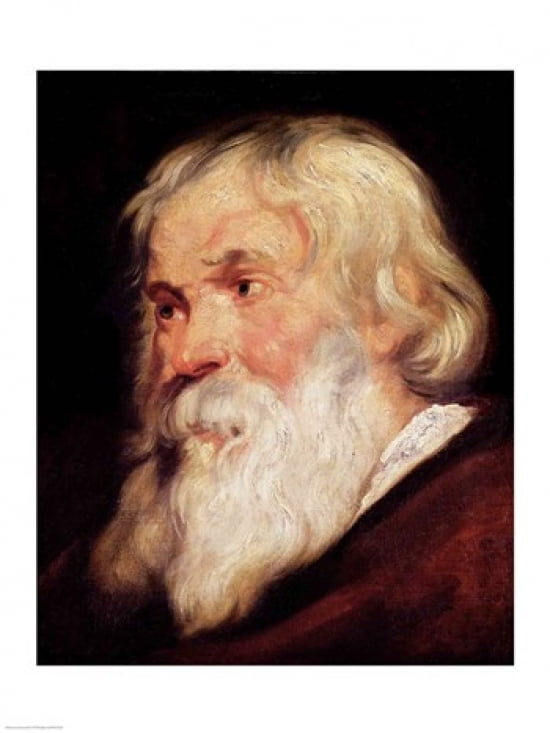 Head of an Old Man Canvas Art - Peter Paul Rubens (24 x 36)