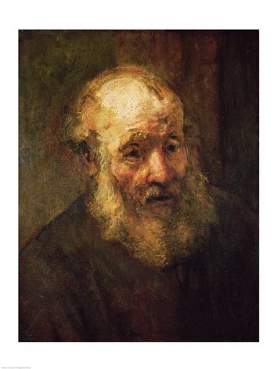 Head of an Old Man c1650 Canvas Art - Rembrandt van Rijn (24 x 36)