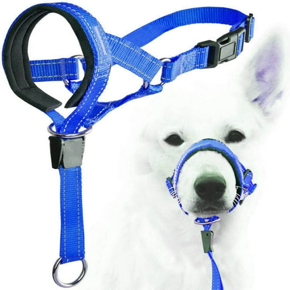 Headcollar, Dog Head Halter with Safety Strap, Nylon Material with Metal Buckle, Head Harness Stops Dog Pulling (Blue, XL)