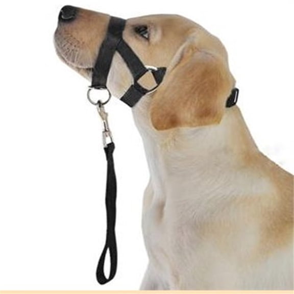 Headcollar No-Pull Dog - Helps Improve Walks Collar - Durable polyester Construction - Padded Nose Loop - Black(S)