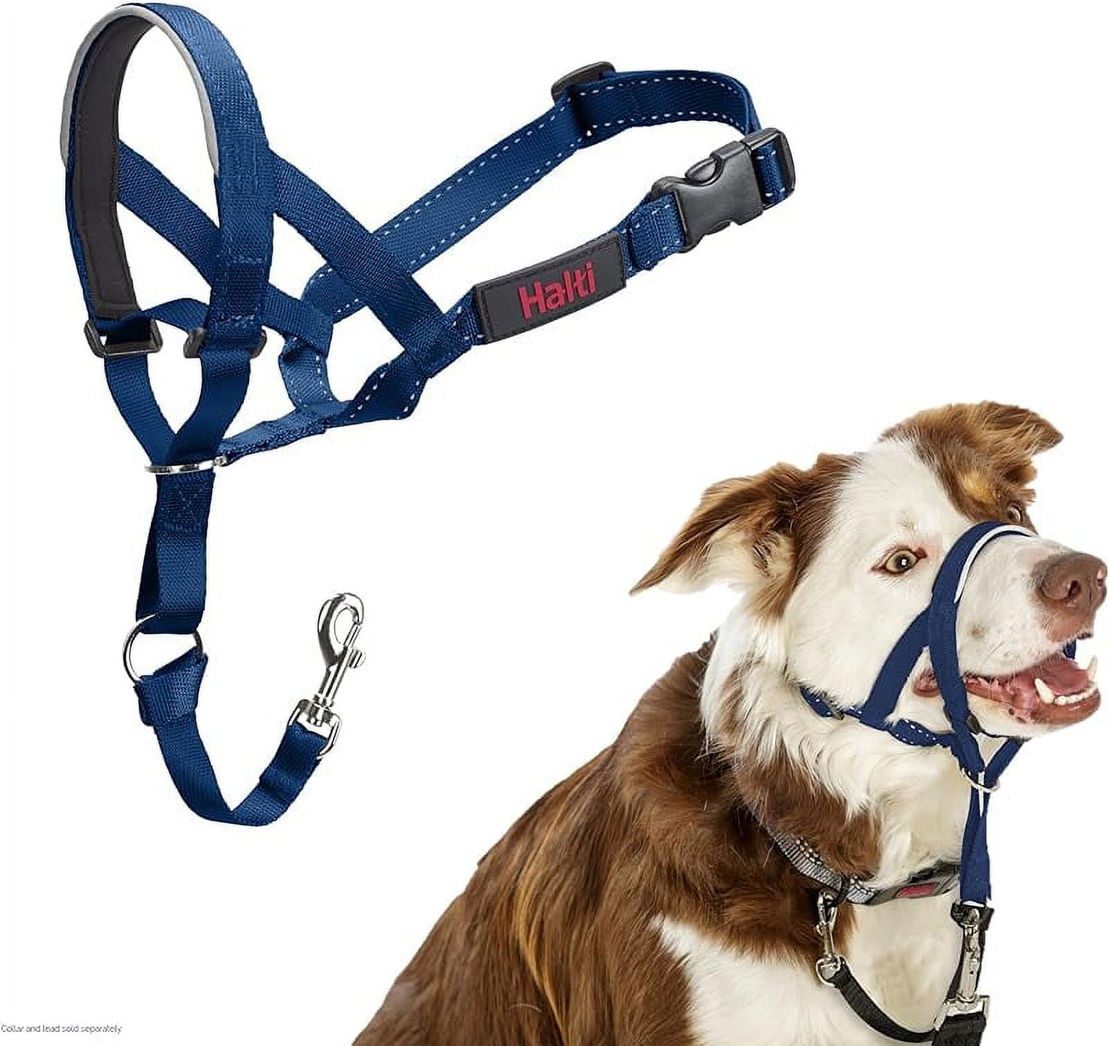 Headcollar To Stop Your Dog Pulling on the Leash. Adjustable Reflective and Lightweight with Padded Nose Band. Dog Training Anti Pull Collar for Medium Dogs Size 3 Black Walmart