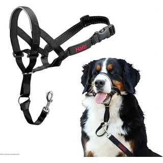 Over the nose dog leash 2025