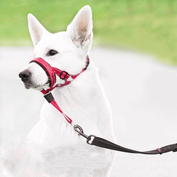 Headcollar for Dogs, Extra Soft Padded, Reflective, No Pull Dog Collar, Gentle Leader for Dogs with Durable Nylon Leash, Padded Handle