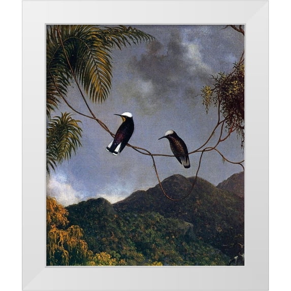 Heade, Martin Johnson 12x14 White Modern Wood Framed Museum Art Print Titled - Snowcap