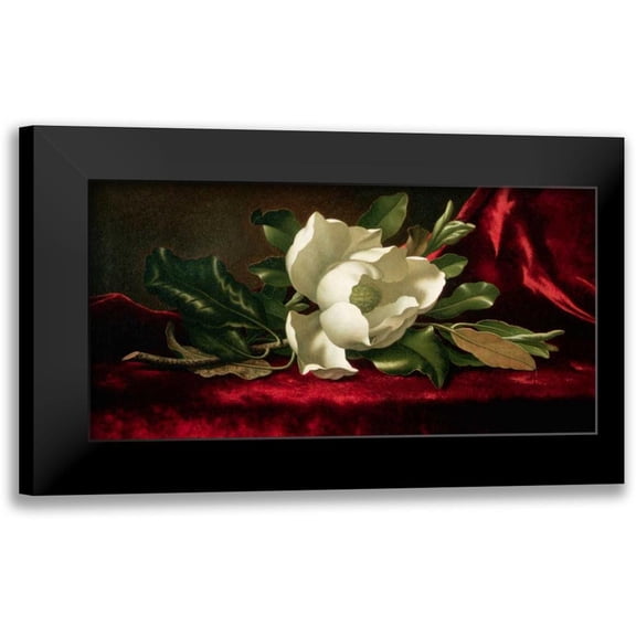 Heade, Martin Johnson 14x9 Black Modern Framed Museum Art Print Titled - Magnolia