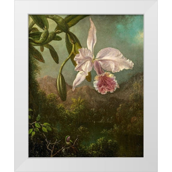 Heade, Martin Johnson 15x18 White Modern Wood Framed Museum Art Print Titled - Orchid Blossoms