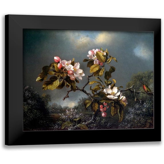 Heade, Martin Johnson 18x15 Black Modern Framed Museum Art Print Titled - Apple Blossom And Hummingbird