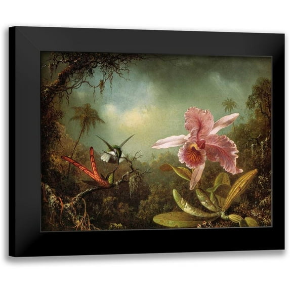 Heade, Martin Johnson 18x15 Black Modern Framed Museum Art Print Titled - Orchid With Two Hummingbirds