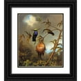 thumbnail image 1 of Heade, Martin Johnson 20x23 Black Ornate Wood Framed with Double Matting Museum Art Print Titled - Black Breasted Plovercrest, 1 of 4