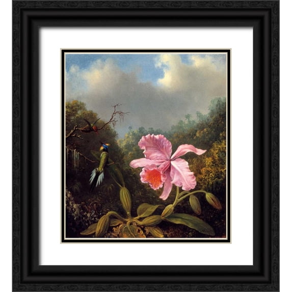 Heade, Martin Johnson 26x29 Black Ornate Wood Framed with Double Matting Museum Art Print Titled - Fighting Hummingbirds With Pink Orchid