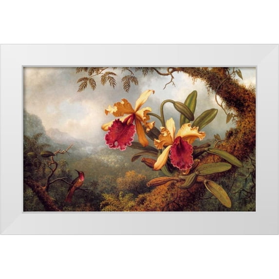 Heade, Martin Johnson 32x21 White Modern Wood Framed Museum Art Print Titled - Orchids And Hummingbird
