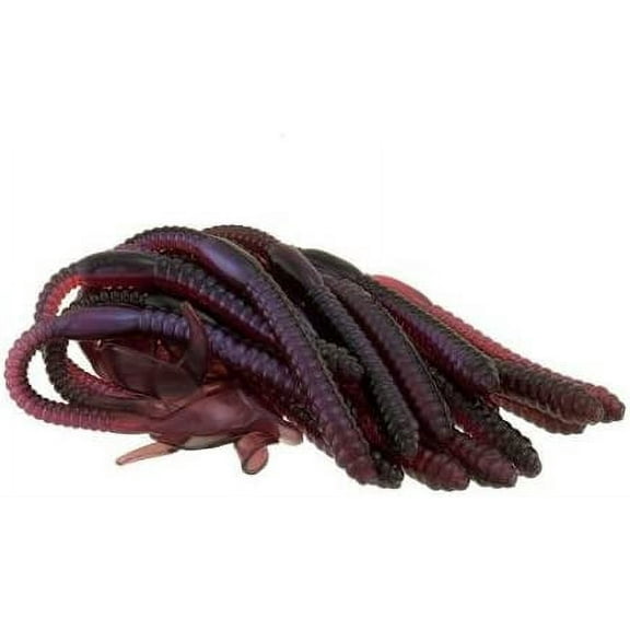 Headhunter Lures, Twirl Tail Worm, Purple Fire, 6in, 12ct