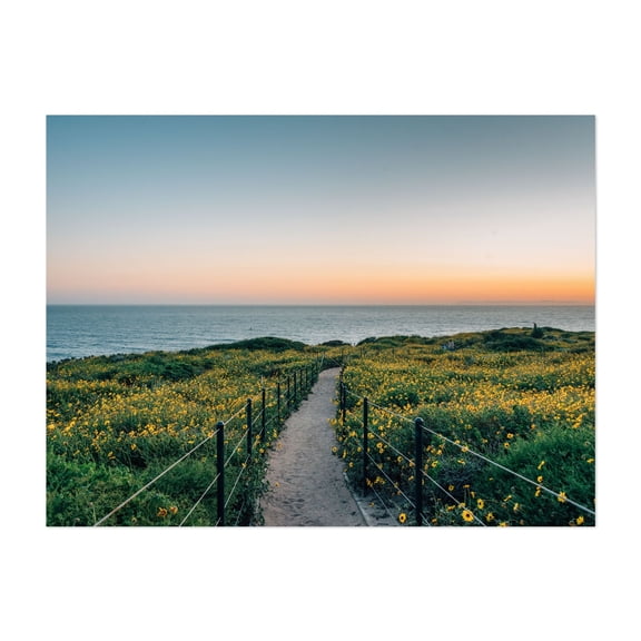 Headlands Path 02 - Dana Point California Photography Unframed Wall Art Print 11 x 14 inches