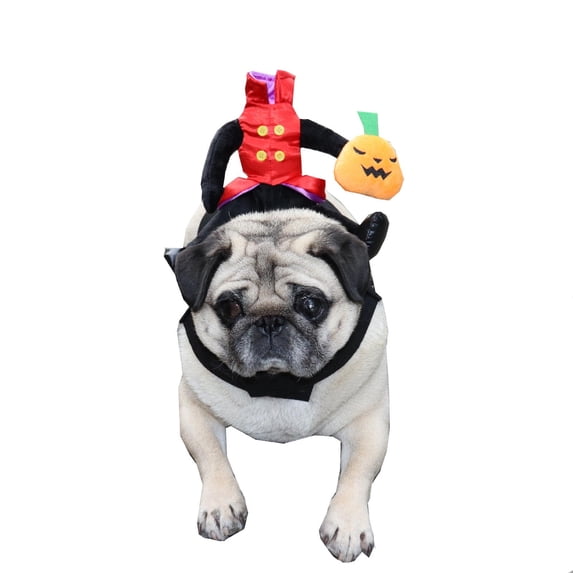 Headless Man Riding Horse Dog Halloween , Funny Pet Transformation Outfit For Small To Medium Dogs, Creative With Pumpkin Accessory,Red - L