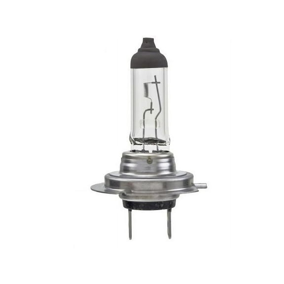 Headlight Bulb - Compatible with 2002 - 2005 BMW 745i 2003 2004