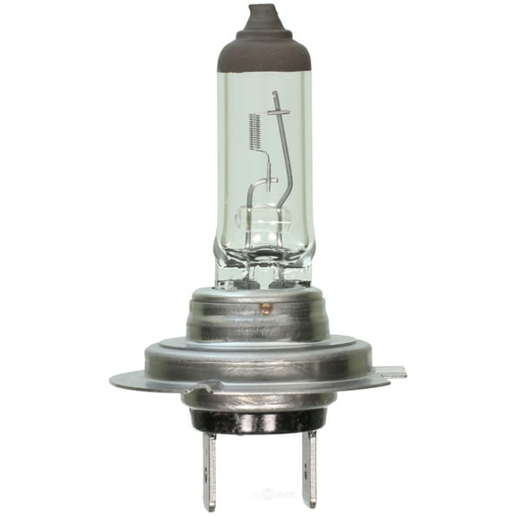 Headlight Bulb