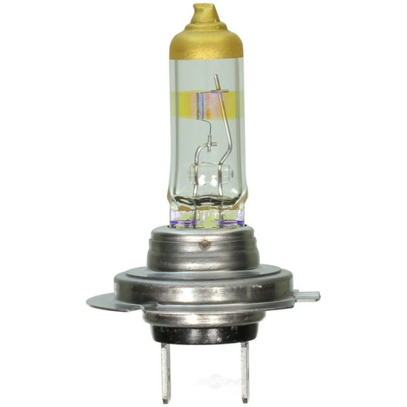 Headlight Bulb