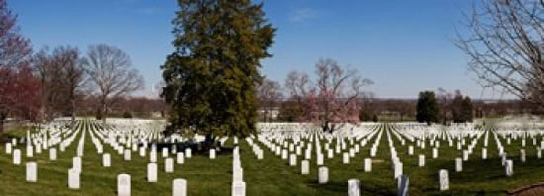 Headstones in a cemetery Arlington National Cemetery Arlington Virginia USA Canvas Art - Panoramic Images (18 x 7)
