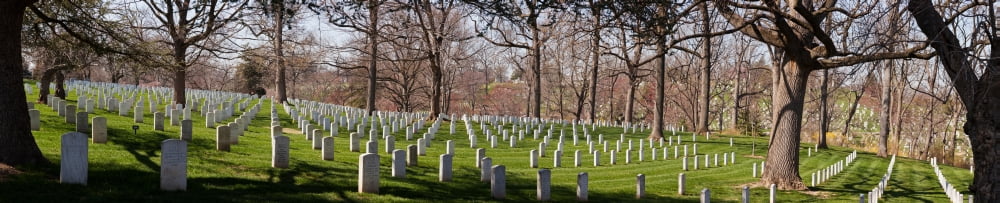 Headstones in a cemetery Arlington National Cemetery Arlington Virginia USA Canvas Art - Panoramic Images (36 x 12)