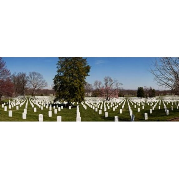 Headstones in a cemetery, Arlington National Cemetery, Arlington, Virginia, USA Poster Print (18 x 7)