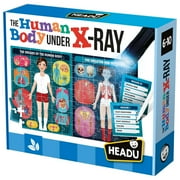 Headu The Human Body Under X-Ray
