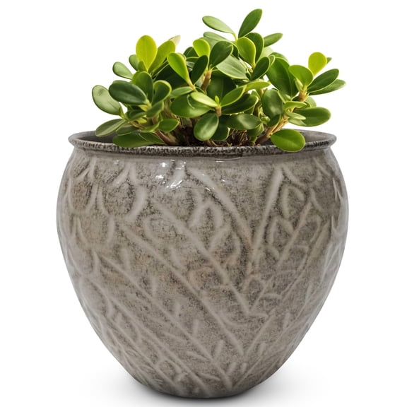 Headwind Glazed IronStone Lanai Collection – 6” Dusted Pearl Decorative Lightweight Flower Pot w/ Leaf Design & Drainage – Houseplants, Succulents for Garden Indoor & Outdoor Planter by Robert Allen