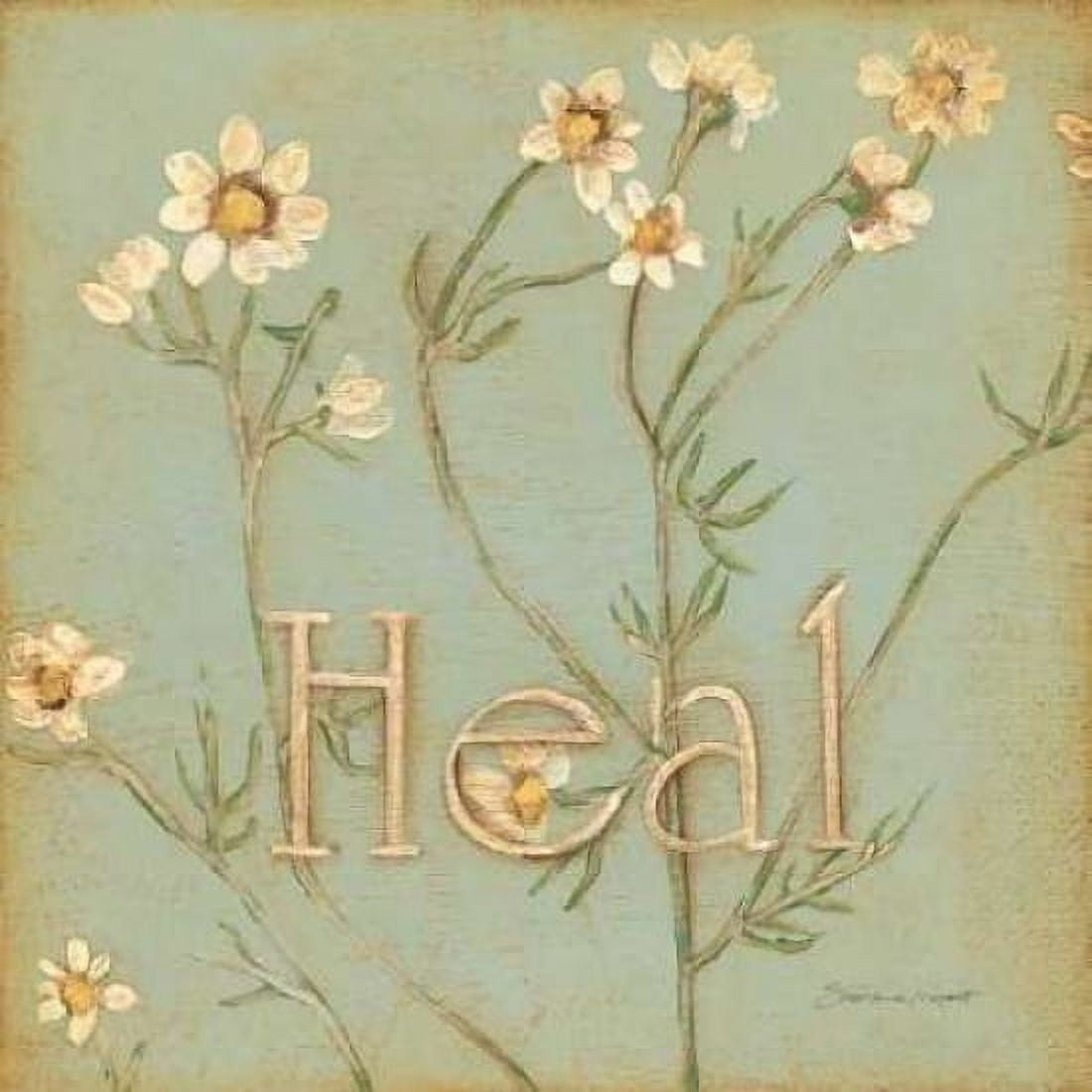 Heal Canvas Art - Stephanie Marrott (24 x 24)