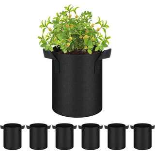 VIVOSUN 50-Pack 1 Gallon Grow Bags for Plants, Black-and-White Panda Film  Containers Thick Plastic Bag for Potting Seedlings, and Rooting
